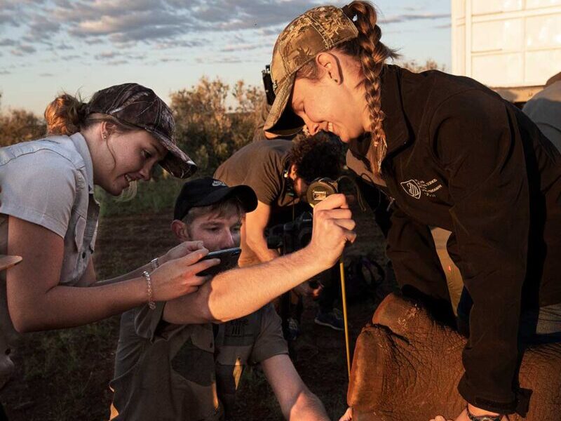 VOLUNTEERING TO SAVE WHITE RHINO