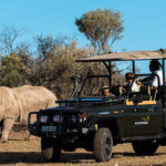 Rhino Watching