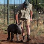 Rockwood Conservation Rhino Nursery